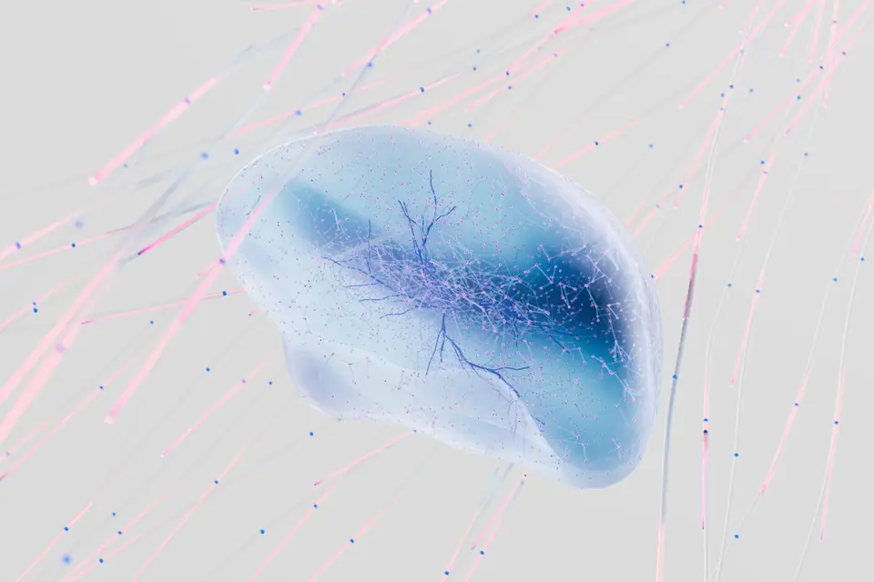 Neural network visualisation representing machine learning in search ranking