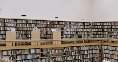 Organised library shelving representing a logical content hierarchy