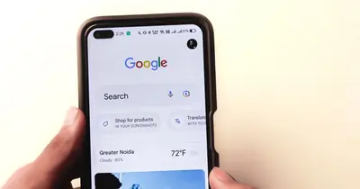 Search interface illustrating title tags and meta descriptions in search results