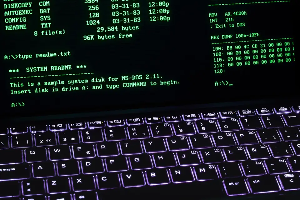Command-line terminal listing system files